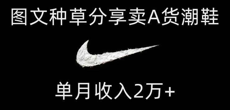 靠图文种草分享卖A货潮鞋，每天一小时，单月收入2万+【揭秘】-知识创作