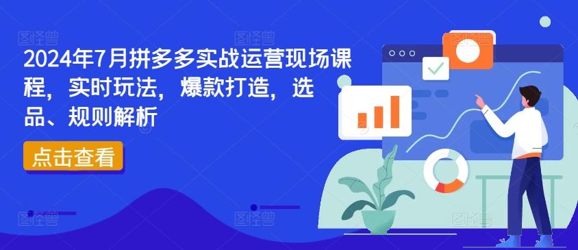 2024年7月拼多多实战运营现场课程，实时玩法，爆款打造，选品、规则解析-知识创作