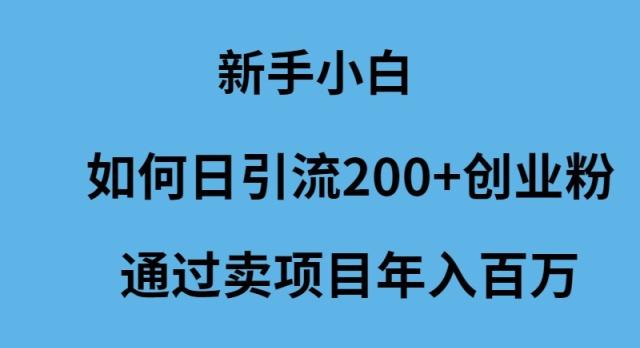 (9668期)新手小白如何日引流200+创业粉通过卖项目年入百万-知识创作