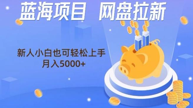 蓝海项目网盘拉新，新人小白也可操作，每月收入5000+-知识创作