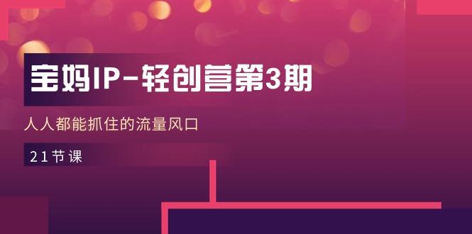 宝妈IP-轻创营第3期，人人都能抓住的流量风口(21节课-知识创作