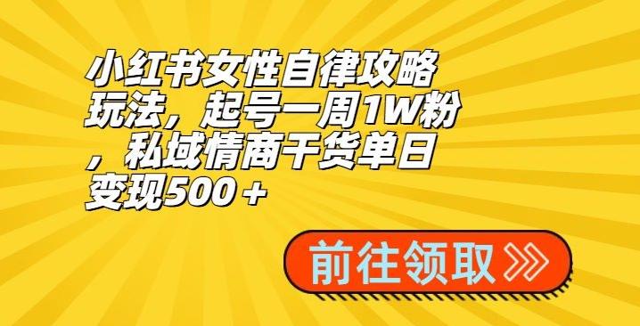小红书女性自律攻略玩法，起号一周1W粉，私域情商干货单日变现500＋-知识创作