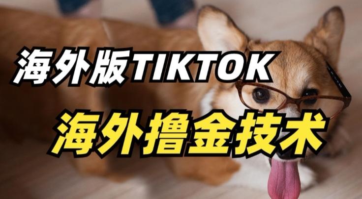 抖音海外版tiktok撸金技术，这个风口行业，赚钱真的不难【揭秘】-知识创作