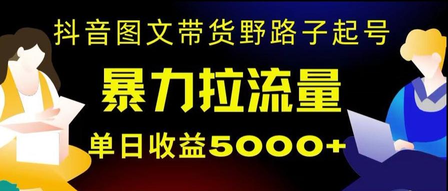 抖音图文带货暴力起号，单日收益5000+，野路子玩法，简单易上手，一部手机即可【揭秘】-知识创作