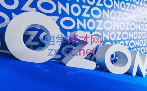 森哥·出海俄罗斯电商实操(2024)-知识创作