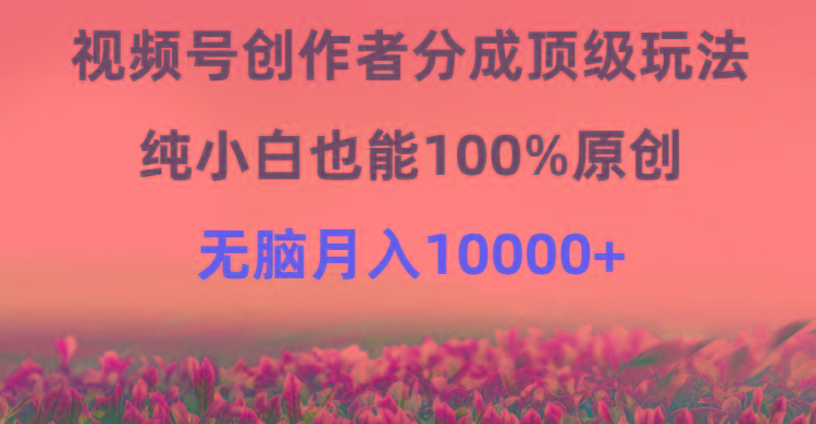 (9608期)视频号创作者分成顶级玩法，纯小白也能100%原创，无脑月入10000+-知识创作