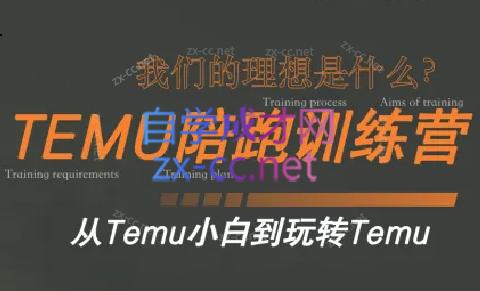 苗苗·拼多多跨境（temu）课程-知识创作