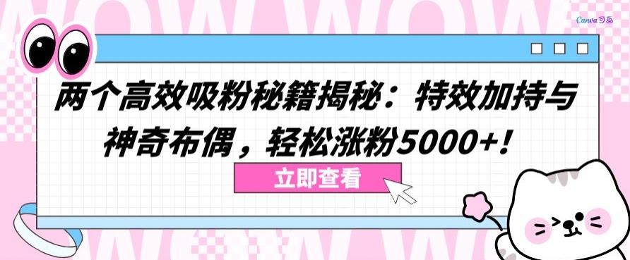 两个高效吸粉秘籍揭秘：特效加持与神奇布偶，轻松涨粉5000+【揭秘】-知识创作