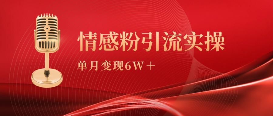 (9473期)单月变现6w+，情感粉引流变现实操课-知识创作