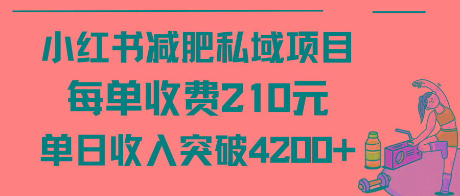 (9466期)小红书减肥私域项目每单收费210元单日成交20单，最高日入4200+-知识创作