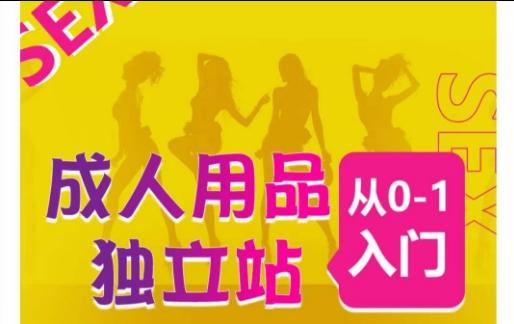 成人用品独立站从0-1入门，成品独立站运营全流程教学，七大好卖成品独立站推荐-知识创作