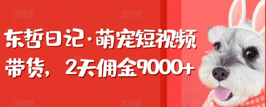 东哲日记·萌宠短视频带货，2天佣金9000+-知识创作
