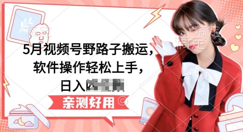 5月视频号野路子搬运，软件操作轻松上手，日入三位数【揭秘】-知识创作