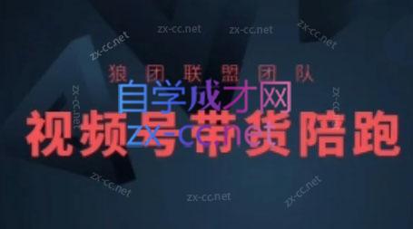 狼团联盟·2024视频号带货-知识创作