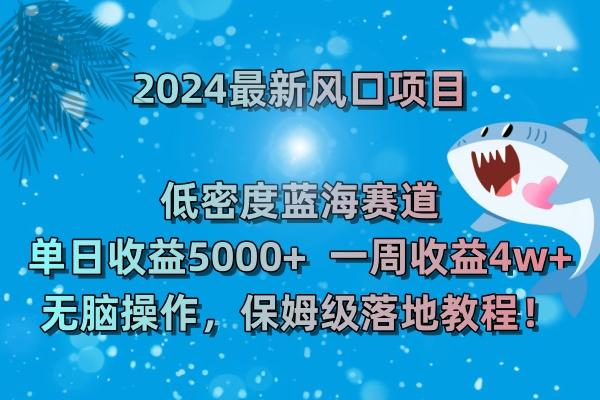 (8545期)2024最新风口项目 低密度蓝海赛道，日收益5000+周收益4w+ 无脑操作，保…-知识创作