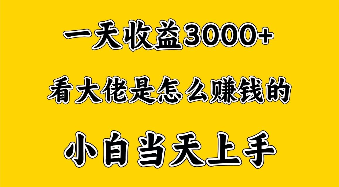 一天赚3000多，大佬是这样赚到钱的，小白当天上手，穷人翻身项目-知识创作