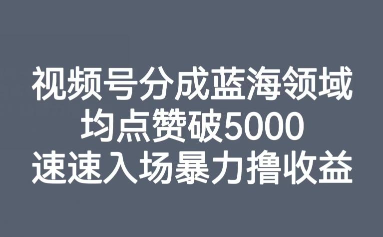 视频号分成蓝海领域，均点赞破5000，速速入场暴力撸收益-知识创作