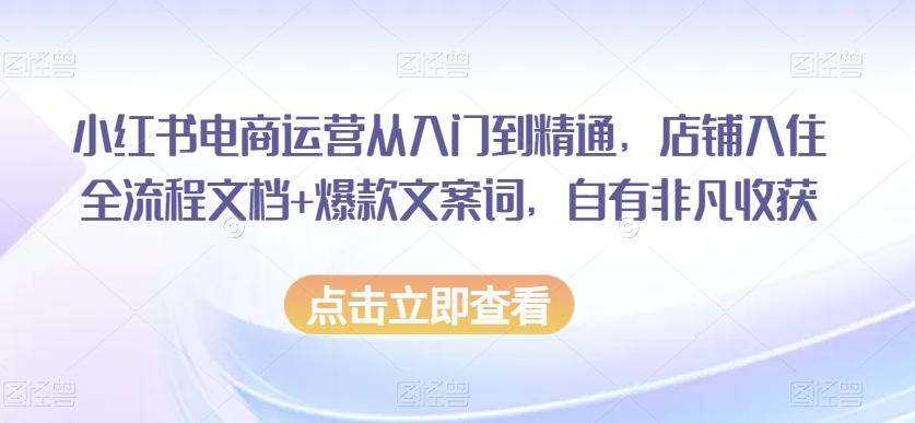 小红书电商运营从入门到精通，店铺入住全流程文档+爆款文案词，自有非凡收获-知识创作