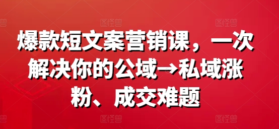 爆款短文案营销课，一次解决你的公域→私域涨粉、成交难题-知识创作