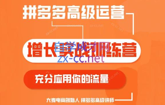 大麦老师·拼多多单品爆款打造课程(更新6月)-知识创作