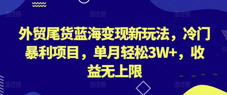 外贸尾货蓝海变现新玩法，冷门暴利项目，单月轻松3W+，收益无上限【揭秘】-知识创作