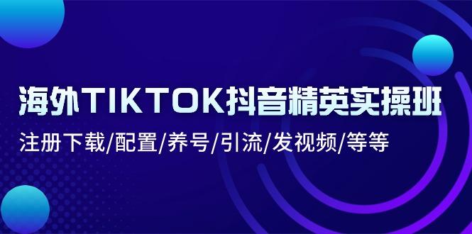 海外TIKTOK抖音精英实操班：注册下载/配置/养号/引流/发视频/等等-知识创作