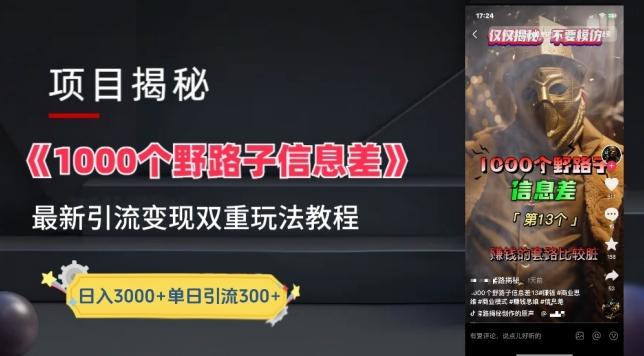 一千个野路子信息差最新玩法教程-变现+引流的玩法具体拆解【揭秘】-知识创作