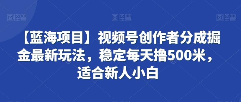 【蓝海项目】视频号创作者分成掘金最新玩法，稳定每天撸500米，适合新人小白【揭秘】-知识创作