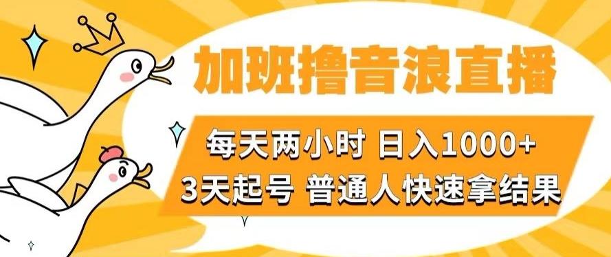 加班撸音浪直播，每天两小时，日入1000+，直播话术才3句，3天起号，普通人快速拿结果【揭秘】-知识创作