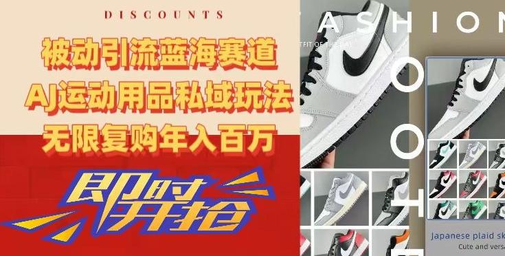 被动引流蓝海赛道，AJ运动用品私域玩法，无限复购年入百万【揭秘】-知识创作