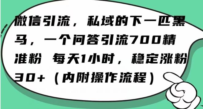 怎么搞精准创业粉？微信新赛道，每天一小时，利用Ai一个问答日引100精准粉-知识创作