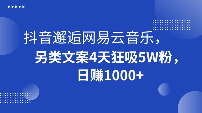 抖音邂逅网易云音乐，另类文案4天狂吸5W粉，日赚1000+【揭秘】-知识创作