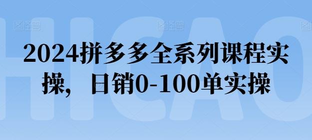 2024拼多多全系列课程实操，日销0-100单实操【必看】-知识创作