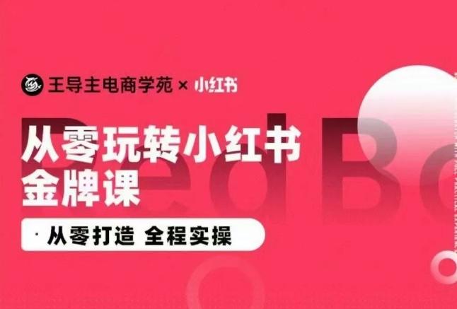 王导主·小红书电商运营实操课，​从零打造  全程实操-知识创作