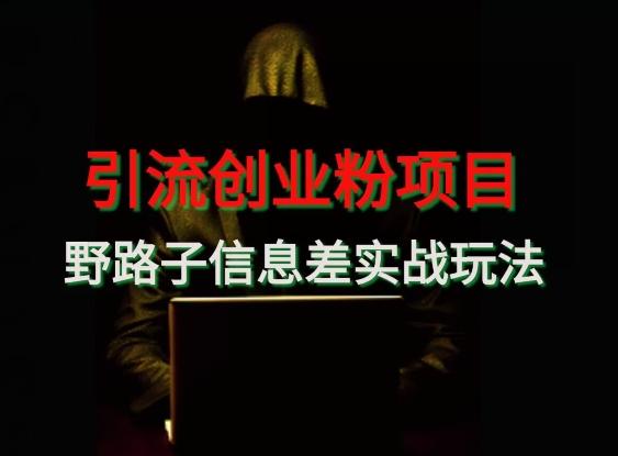 【引流创业粉】野路子信息差玩法实战教学-知识创作