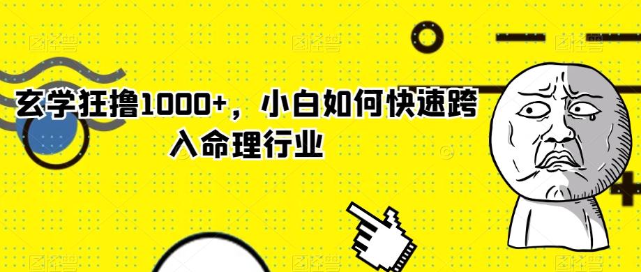 玄学狂撸1000+，小白如何快速跨入命理行业-知识创作