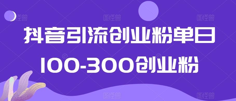 抖音引流创业粉单日100-300创业粉【揭秘】-知识创作