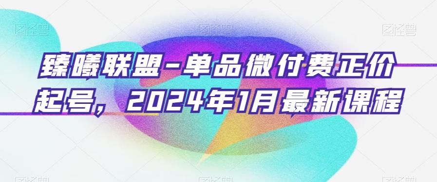 臻曦联盟-单品微付费正价起号，2024年1月最新课程-知识创作