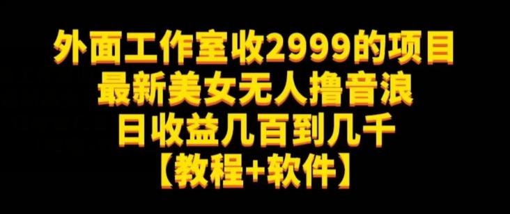 外面工作室收2999的项目最新美女无人撸音浪日收益几百到几千【教程+软件】（仅揭秘）-知识创作