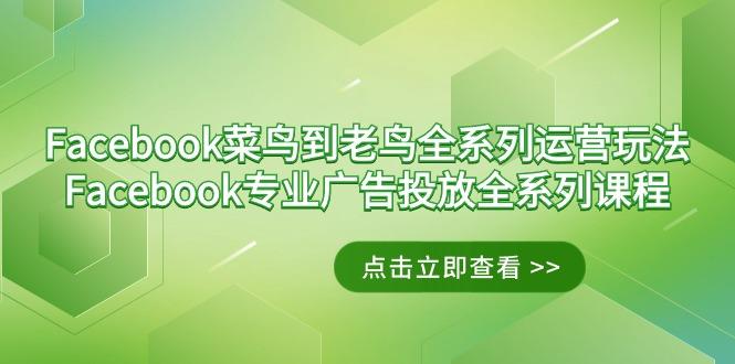 Facebook-菜鸟到老鸟全系列运营玩法+Facebook-专业广告投放全系列课程-知识创作