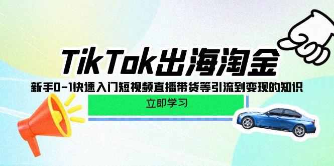 (10035期)TikTok-出海淘金，新手0-1快速入门短视频直播带货等引流到变现的知识-知识创作