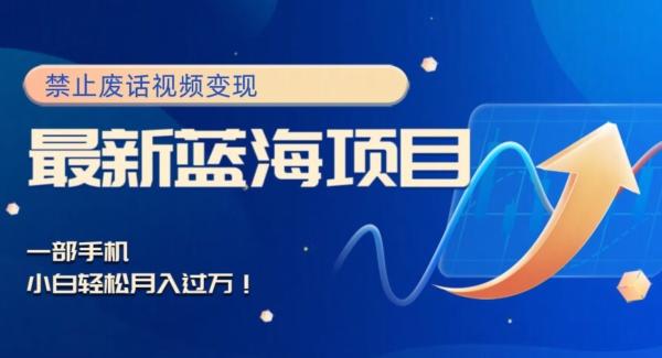 最新蓝海项目，靠禁止废话视频变现，一部手机，小白轻松月入过万！-知识创作