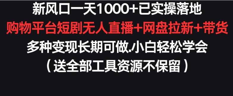 新风口一天1000+已实操落地购物平台短剧无人直播+网盘拉新+带货多种变现长期可做【揭秘】-知识创作