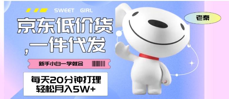 每天20分钟打理京东低价货，一件代发-轻松月入5W＋-知识创作