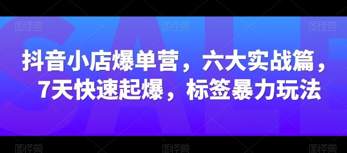 抖音小店爆单营，六大实战篇，7天快速起爆，标签暴力玩法-知识创作