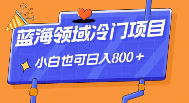 蓝海领域冷门赛道，一单39.9，日入800＋-知识创作