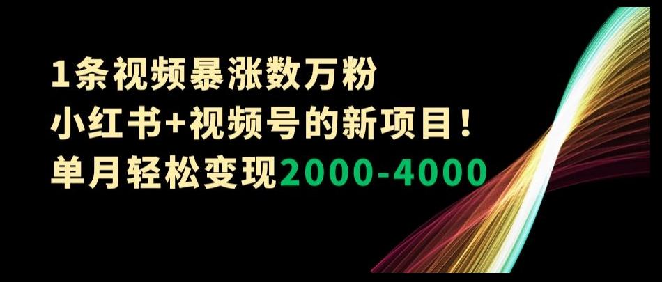 1条视频暴涨数万粉–小红书+视频号的新项目！单月轻松变现2000-4000【揭秘】-知识创作