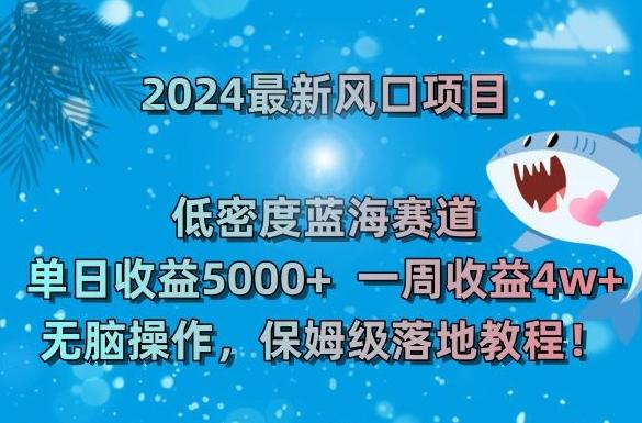 2024最新风口项目，低密度蓝海赛道，单日收益5000+，一周收益4w+！【揭秘】-知识创作