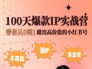 小红书100天爆款IP实战营，带你从0到1做出高价值的小红书号-知识创作
