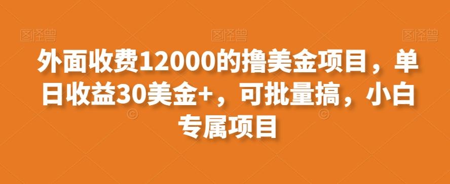 外面收费12000的撸美金项目，单日收益30美金+，可批量搞，小白专属项目-知识创作